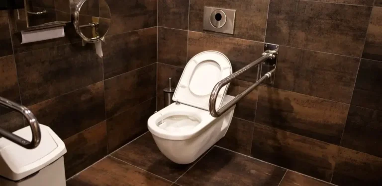 Obrazek wyróżniający do artykułu - wc dla niepełnosprawnych. Zdjęcie przedstawia ubikację dostosowaną do potrzeb osób niepełnosprawnych. Ściany i podłoga są wyłożone dużymi, ciemnobrązowymi płytkami, co tworzy spójny i nowoczesny wygląd. Głównym elementem jest biała toaleta w zachodnim stylu z podniesioną deską sedesową. Po obu stronach, do ściany przymocowane są solidne poręcze ze stali nierdzewnej, które mają pomóc użytkownikom w przenoszeniu się na toaletę i z niej. Po lewej stronie widać mały, okrągły kosz na śmieci. Po prawej stronie znajduje się lustro odbijające toaletę i poręcz. Ponadto, w zasięgu ręki znajduje się uchwyt na papier toaletowy.