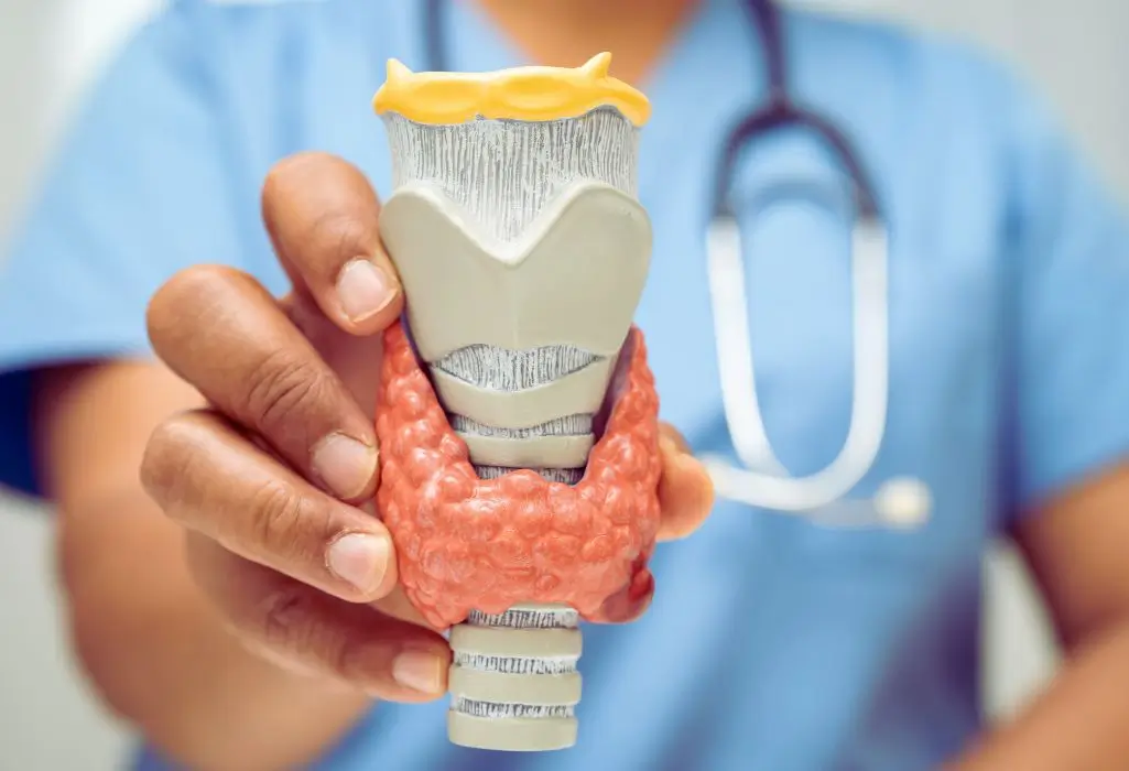 Czy choroba tarczycy wystarczy do orzeczenia o niepełnosprawności i od czego to zależy? 1 Zbliżenie dłoni medyka w niebieskim stroju ze stetoskopem, który trzyma realistyczny model szyi z krtanią i wyraźnie zaznaczoną, pomarańczową tarczycą; obraz budzi skojarzenia z opieką, spokojem i nadzieją na zrozumiałą diagnozę oraz leczenie, a towarzyszą mu emocje niepewności i ulgi – kontekst poradnika: czy na tarczycę można dostać orzeczenie o niepełnosprawności.