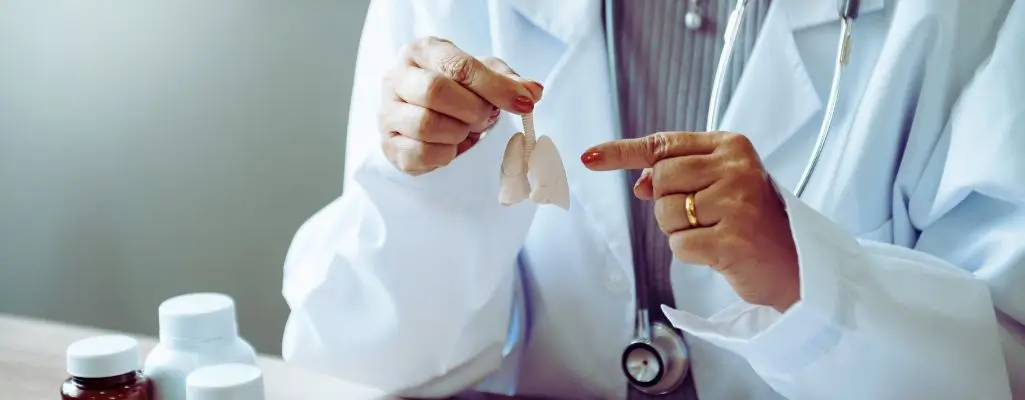 Lekarz trzyma model płuc i wskazuje na zmiany chorobowe – ilustracja do tematu, czy na POChP można dostać orzeczenie o niepełnosprawności